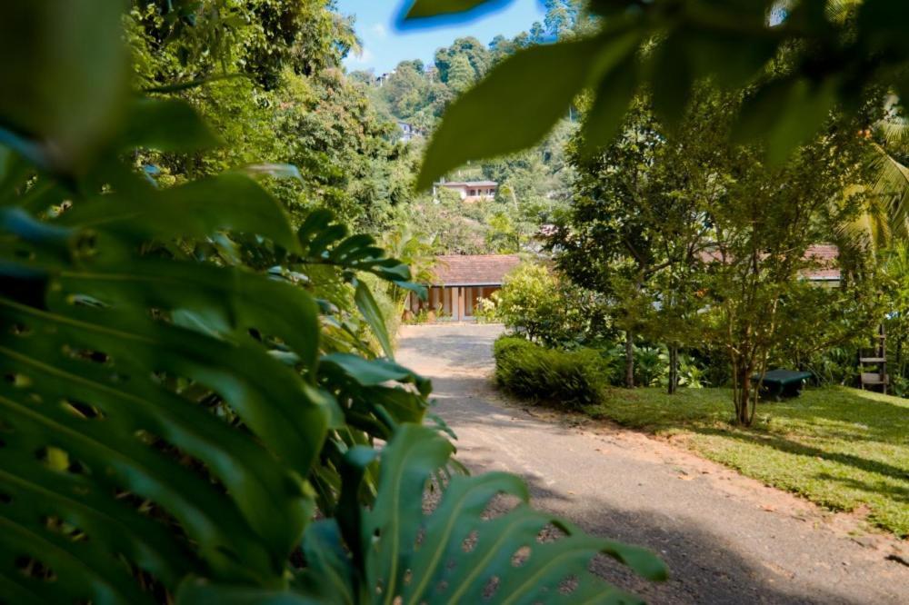 Clove Garden Kandy Luaran gambar